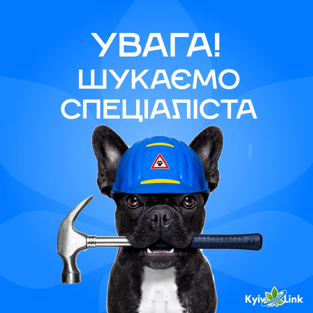 ‼️ВАКАНСІЯ‼️